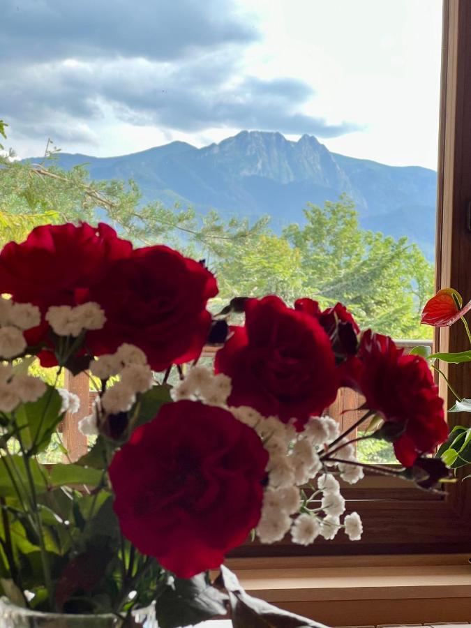 Chalet Olczyski *